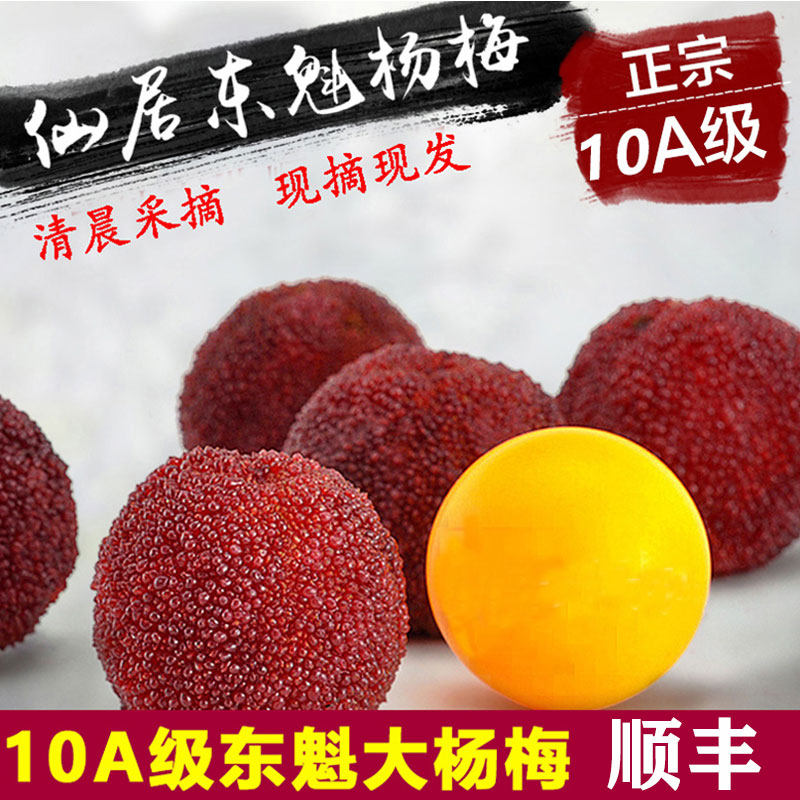 【10A级特大东魁】正宗仙居东魁杨梅鲜果新鲜当季水果96颗礼盒装