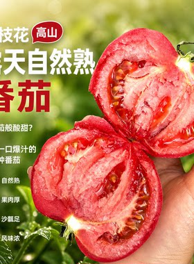 顺丰攀枝花自然熟多汁番茄