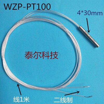 wzp-PT100热电阻 温度传感器铂电阻芯2线 高温线测温 探头式PT100