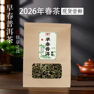 2026年春茶现货早春普洱生茶散茶叶一级普洱茶头波春茶明前茶250g