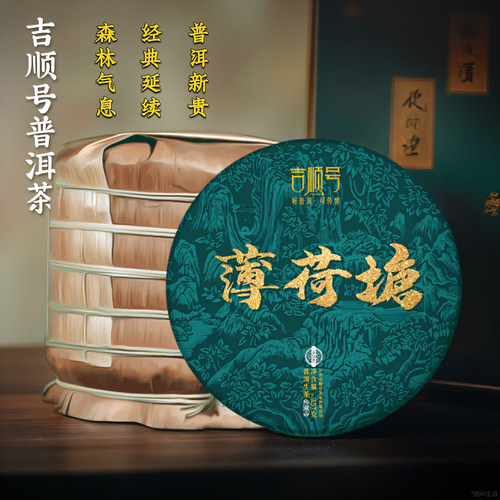 吉顺号普洱茶生茶2023薄荷塘