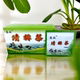 广西高派清排茶原清排茶老配方升级款 代用袋泡茶量大优惠每盒25包