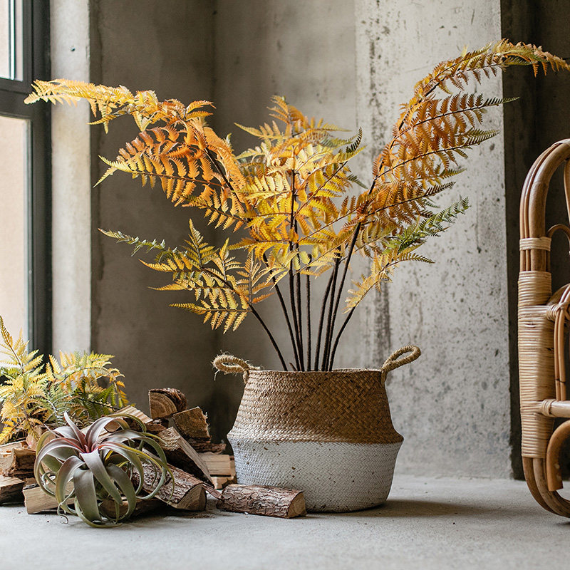 仿真蕨类植物吊球蕨叶树绿植盆栽大型装饰摆件橱窗造景陈列
