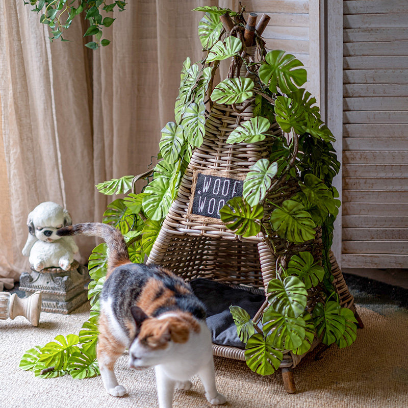 仿真龟背叶绿植藤条花艺壁挂吊兰绿色植物蕨叶婚庆造景森系