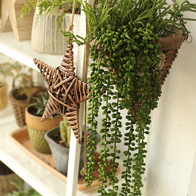 仿真多肉植物佛珠情人泪佛豆手感胶垂吊吊兰园艺