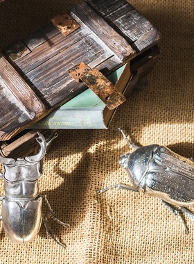 金属大甲虫花金龟挂件摆件墙面桌面装饰个性动物童话风