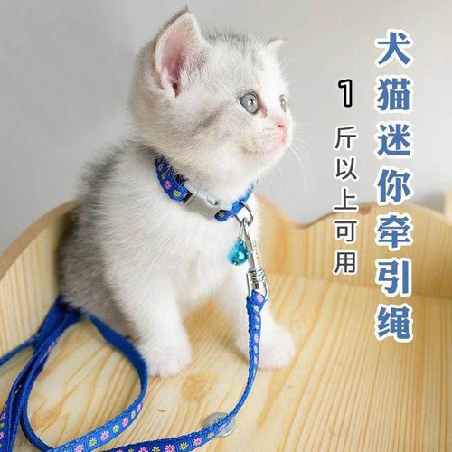 幼猫牵引绳猫咪专用防挣脱可调节小奶猫茶杯犬幼犬外出德文遛猫绳