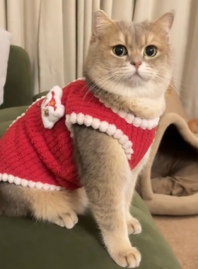 宠物猫咪衣服冬季保暖布偶蓝猫金渐层狗狗红色过年喜庆醒狮新年装