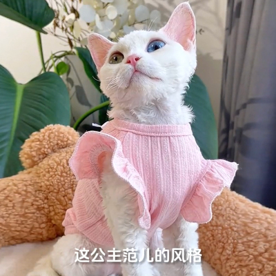 德文无毛猫衣服春夏薄款