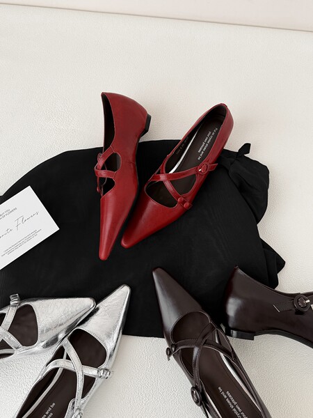 Flat lay of pointed-toe women's shoes in multiple colors