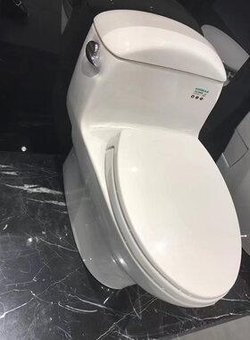 TOTO马桶坐便器连体马桶坐厕CW988GB