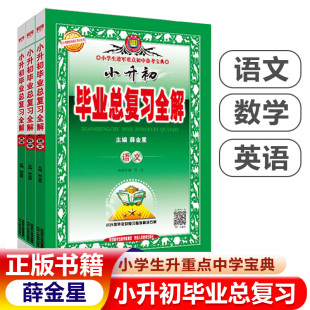 六年级系统总复习专项训练真题卷模拟试卷 小升初毕业总复习全解语文数学英语 薛金星小学教材全解课本教材同步讲解辅导书 2024版