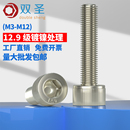 12.9级镀镍内六角螺丝杯头内六角螺丝钉 螺栓M3M4M5M6M8M10M12