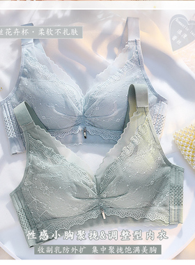 【小胸聚拢】芬腾女防下垂文胸胸罩90G678