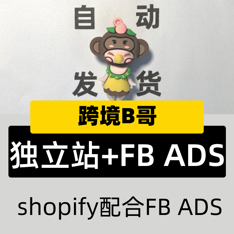 跨境B哥 SHOPIFY 独立站自建+F.B ADS SEO优化视频广告课程