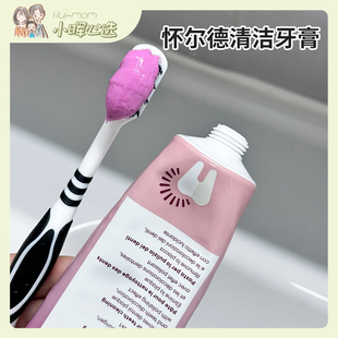 美国小晖DR.Wild瑞士怀尔德牙膏固体牙膏75ml成人牙膏