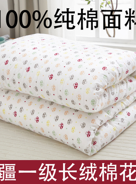 纯棉花被子手工棉被芯全棉春秋被双人单人加厚保暖冬被床垫被褥子