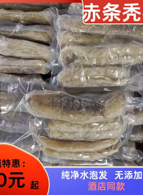 深海赤参秃参厂家直供海参水发酒店宴席商用食材滋补孕妇好物包邮