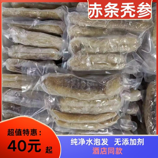深海赤参秃参厂家直供海参水发酒店宴席商用食材滋补孕妇好物包邮