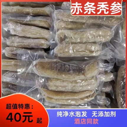 深海赤参秃参厂家直供海参水发酒店宴席商用食材滋补孕妇好物包邮