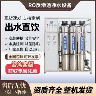 大型工业反渗透纯水处理设备商用大型全自动净水器去离子水设备