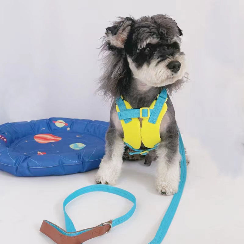 中小型犬胸背可爱透气