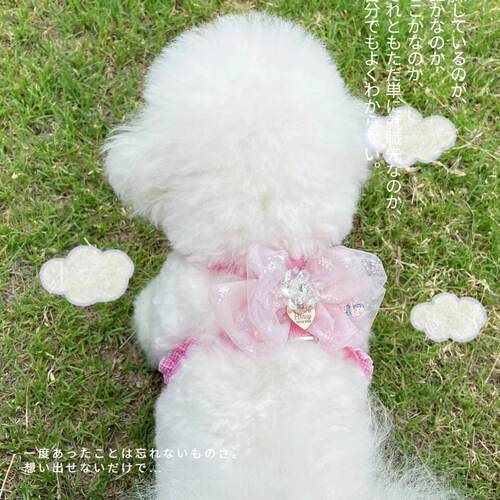 狗狗牵引绳宠物蝴蝶结