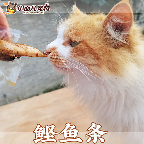 小面儿猫零食 鲣鱼条肉块儿蒸煮20克*10支互动小零食增肥发腮