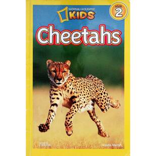 国家地理读者原版书英语绘本Cheetahs儿童科普动物系列劳拉马什著适合710岁孩子独立阅读生动介绍猎豹外貌特征生活习性捕猎技巧