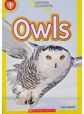 国家地理儿童原版书英语绘本Owls小学生科普读物猫头鹰适合710岁儿童阅读内容涵盖猫头鹰种类栖息地捕食方式等知识点激发孩子对