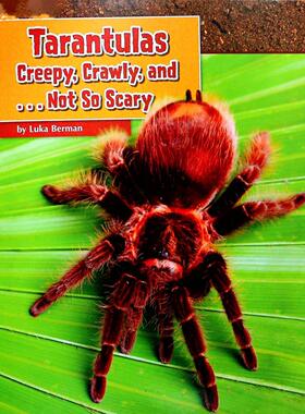 英语原版引进芬塔斯与皮内尔分级识字干预读物Tarantulas科普绘本适合710岁儿童阅读内容严谨配图生动帮助孩子了解狼蛛科学知识
