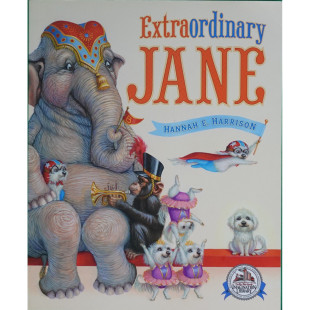 英语原版书非凡的简绘本亲子共读ExtraordinaryJane汉娜哈里森作品鼓励孩子发现自身价值的暖心绘本适合36岁儿童阅读讲述普通小