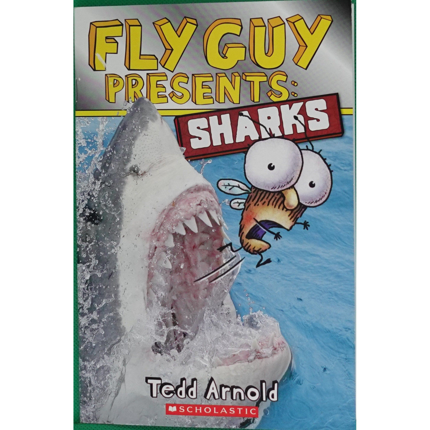 苍蝇小子科普系列Sharks原版书英语绘本儿童科普鲨鱼知识纽约时报畅销书作家泰德阿诺德作品适合710岁孩子阅读的趣味海洋生物科