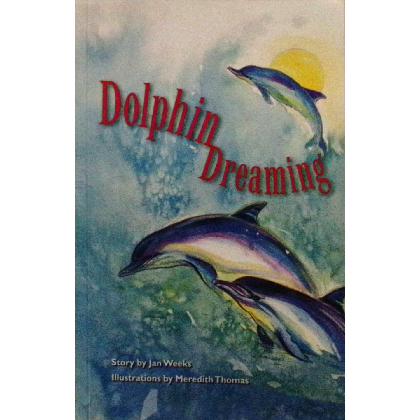 英语原版书PM课外章节书海豚之梦DolphinDreaming彩色绘本亲子共读海洋冒险故事适合710岁儿童阅读讲述克服恐惧探索自然和家庭亲