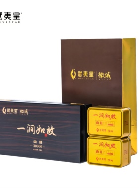 武夷星微域 一涧如故 壁立万仞 致极丛书 水仙肉桂岩茶20g2泡