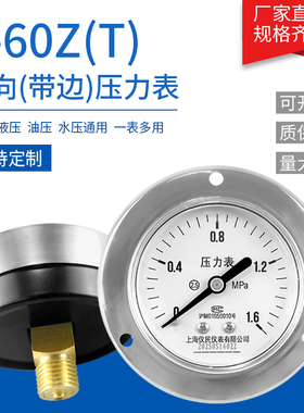 Y60-Z Y60-ZT 轴向压力表 轴向带边 水气油液压 上海仪民