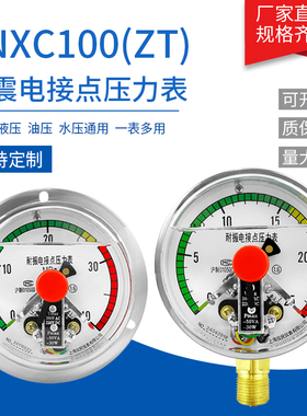 YNXC100 耐震电接点压力表 磁助式40MPA 触点 上海仪民 杭州东亚