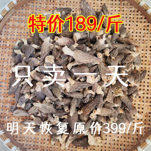 羊肚菌干货26年新品特级菌菇干煲汤批发一斤滋补野生食材商用批发