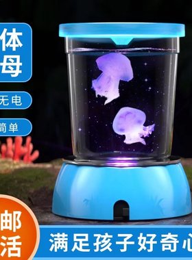 水母活物发光杯好养耐活迷你学生观赏小型小宠物桌面赤月活体