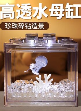 水母活物六一儿童活动小宠物礼物
