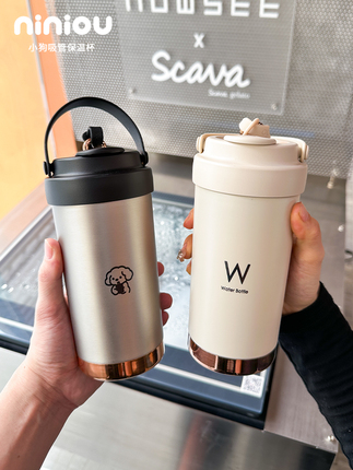 High-Grade Metal Matte 316 Stainless Steel Inner Liner Thermos Cup for Men and Women, Office Straw-Style Cold-Keeping Dual-Use Drinking Cup
