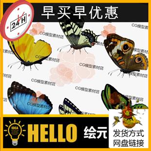 3dmax maya影视级写实蝴蝶昆虫动物骨骼绑定动画3D模型带贴图fbx