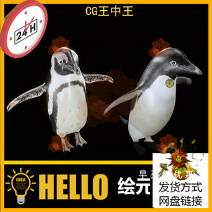 UE5虚幻4.26-5.0+ Penguin 阿德利企鹅角色模型带动画