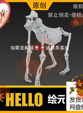 max/zbrush/c4d动物骨骼大猩猩骨架3d模型stl/obj/fbx/usdz/glb