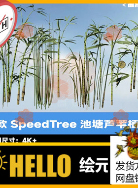 4款SpeedTree池塘芦苇植物源工程 树木软件SpeedTree工程文件 spm