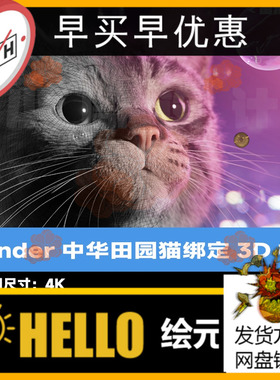 Blender写实中华田园猫3D模型绑定动画虎斑猫带毛发OBJ灰猫动物cg