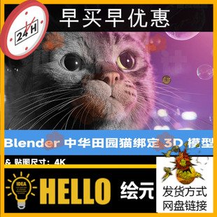 Blender写实中华田园猫3D模型绑定动画虎斑猫带毛发OBJ灰猫动物cg