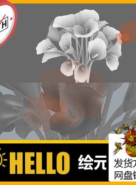 花仙子马蹄莲 植物花卉犀牛建模rhino/C4D/3Dmax/maya模型obj 3dm