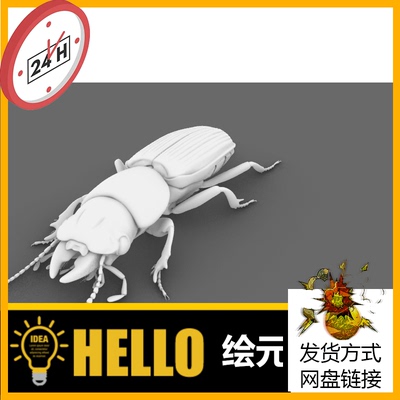 昆虫动物 步甲虫2 犀牛建模rhino/C4D/3Dmax/maya模型obj