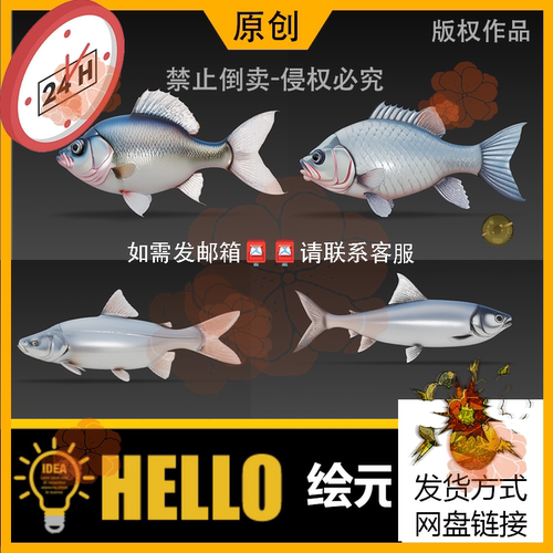 zbrush/STL海洋生物蓝白鲢鱼3D模型max打印usdz/OBJ/FBX/GLB/c4d